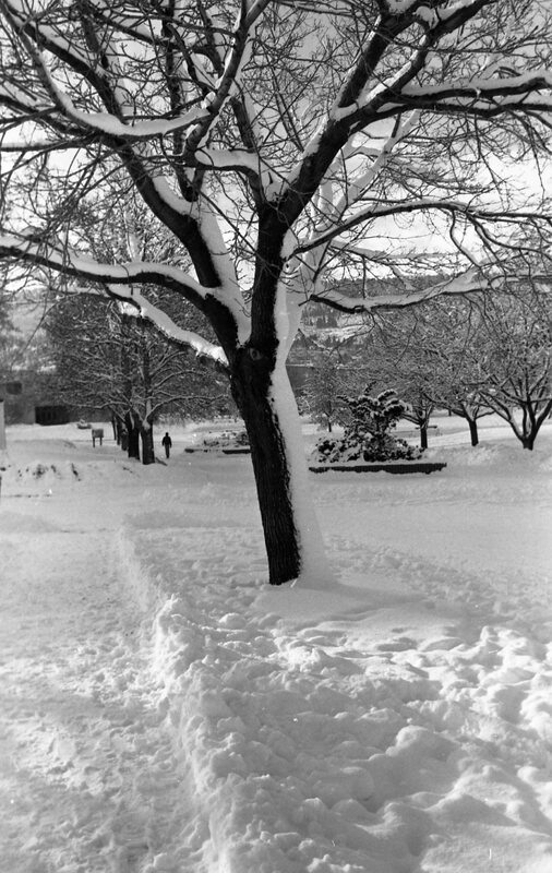 1984 Campus in Winter 04