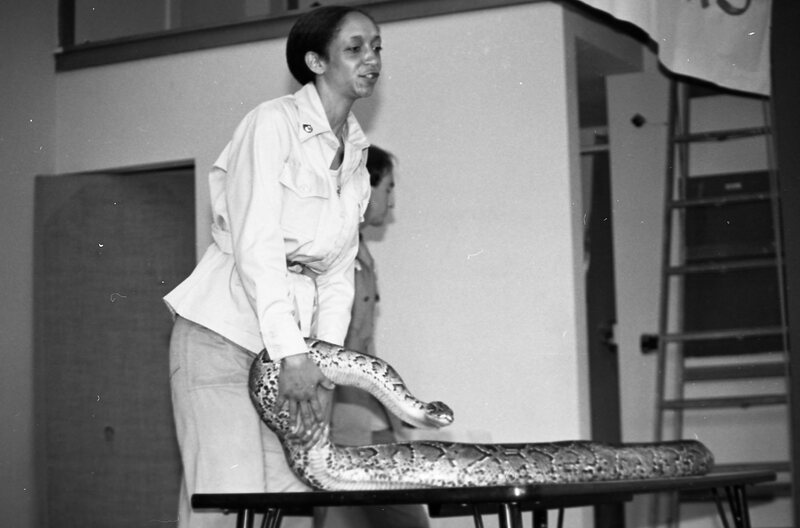 1985 Ackerman Elementary School, Safari 13