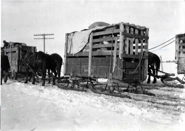 1912 Joseph, Elk Imports 1