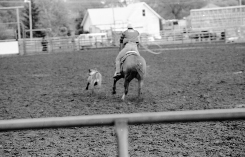 1987 Rodeo, Roping 04