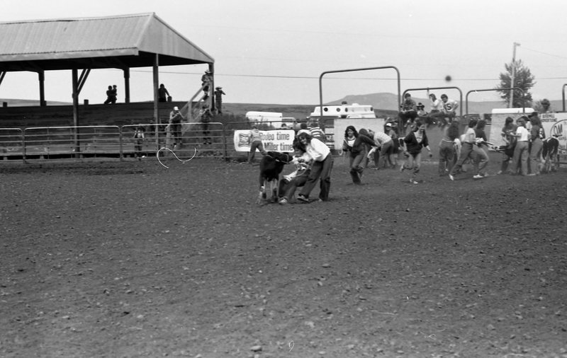 1981 Rodeo, Calf Dressing 02