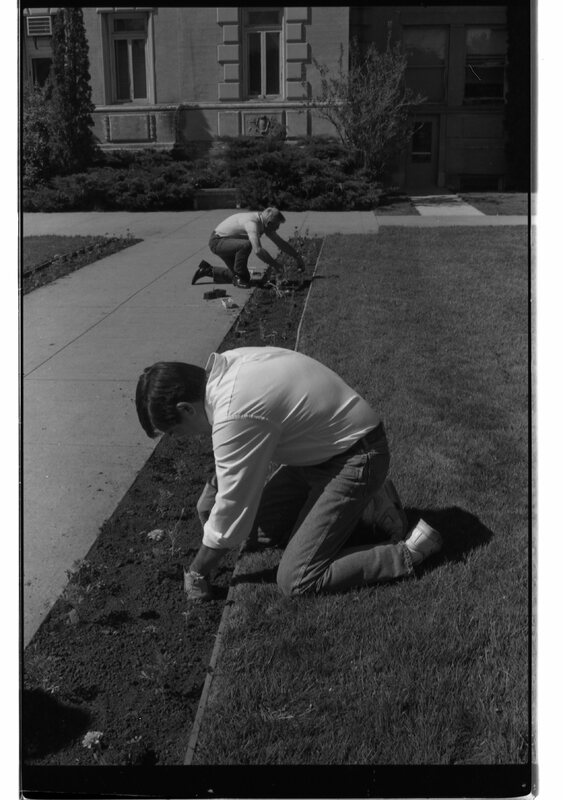 1989 Employees, Planting 13