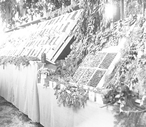 Cove, Cherry Fair Display 16