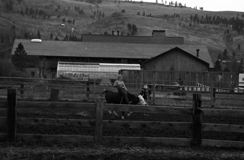 1981 Rodeo, Bull Riding Practice