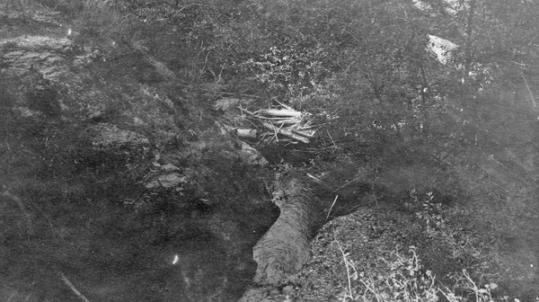 Reuter Group-O, Little Creek 3