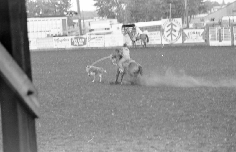1978 Rodeo, Roping 02