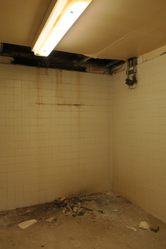 Dorian and Hunt Hall 388