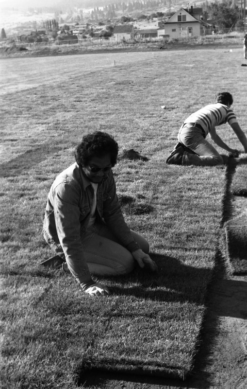 1981 Football Field, New Grass 12