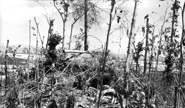 Japanese "Pill Box" 3