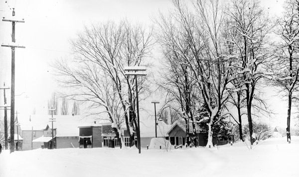 Cove, Street Scene 8