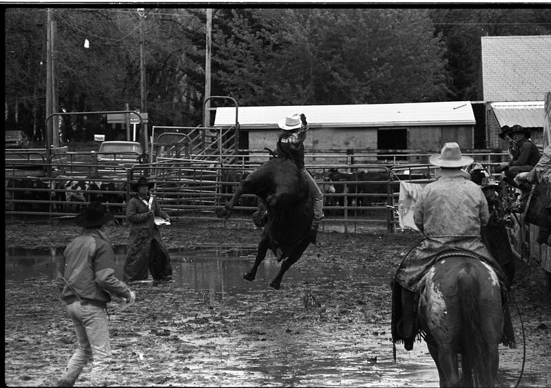 1991 Eastern Rodeo, Bull Riding 06