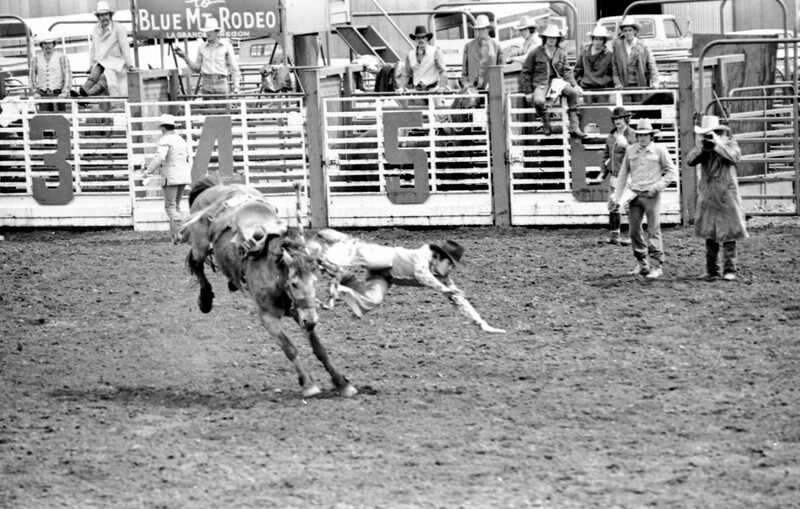 1978 Rodeo, Bronco Riding 14
