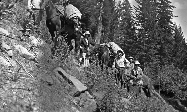 Reuter, Packhorses