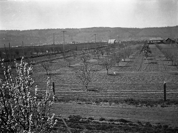 La Grande Farm, Huffman 7
