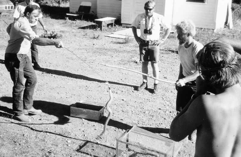 1973 Lily White Field Station 08