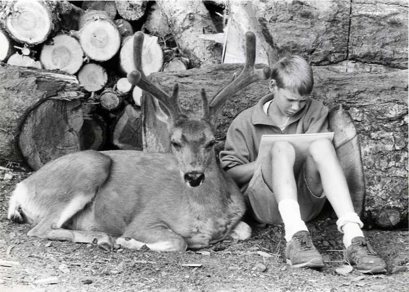 80's Children, Boy and Deer