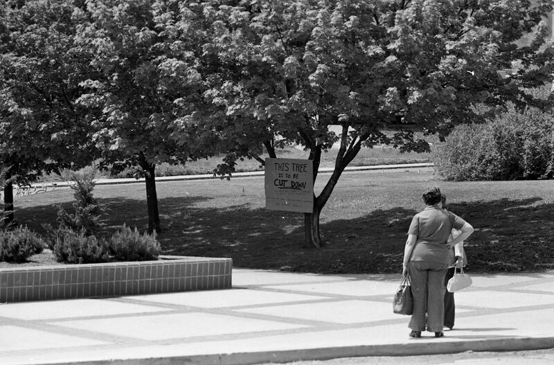 1974 Campus, Save a Tree 05