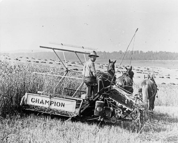 Farm, Haying Operation 3
