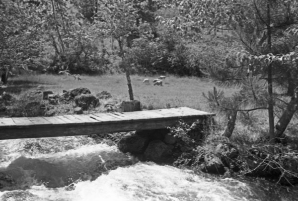 Cove, Park and Stream 1