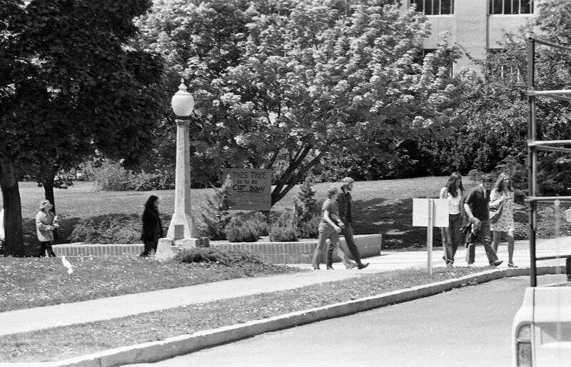1974 Campus, Save a Tree 03