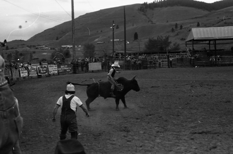 1981 Rodeo, Bull Riding 10