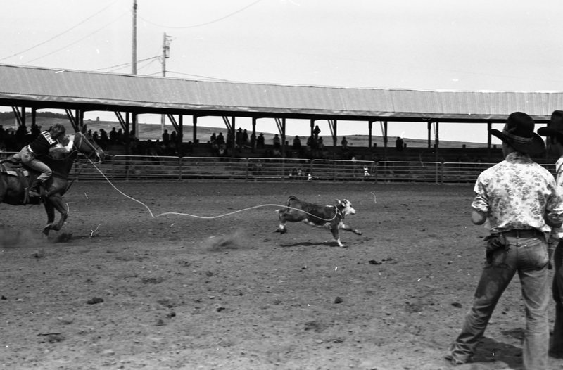 1981 Rodeo, Calf Roping 08