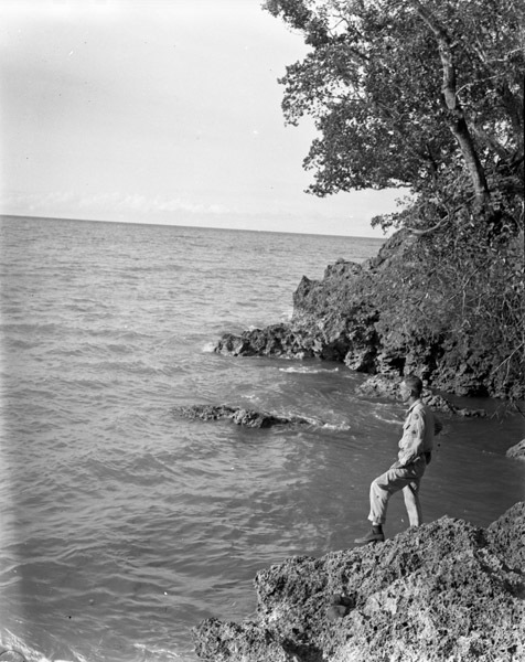 Looking Out to Sea 2