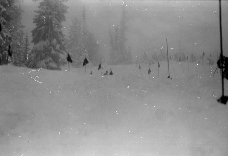 1981 Skiing Area 02