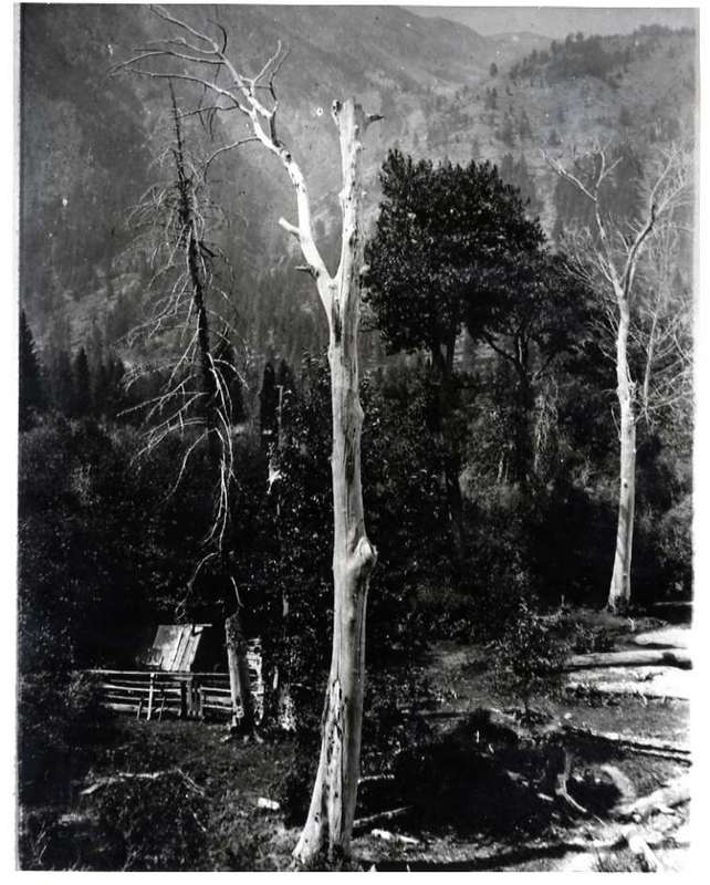 Oregon, Cabin