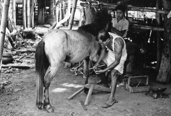 Dagupan, Horse Shoeing