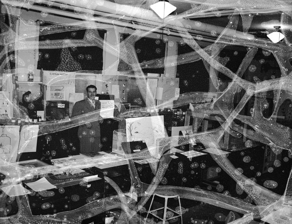 1949-50 Biology Lab Display 4