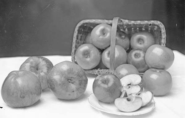 Cove, Apples