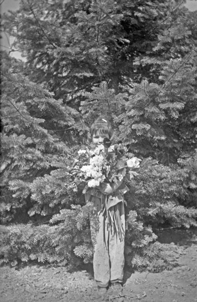 Oregon, Camouflage