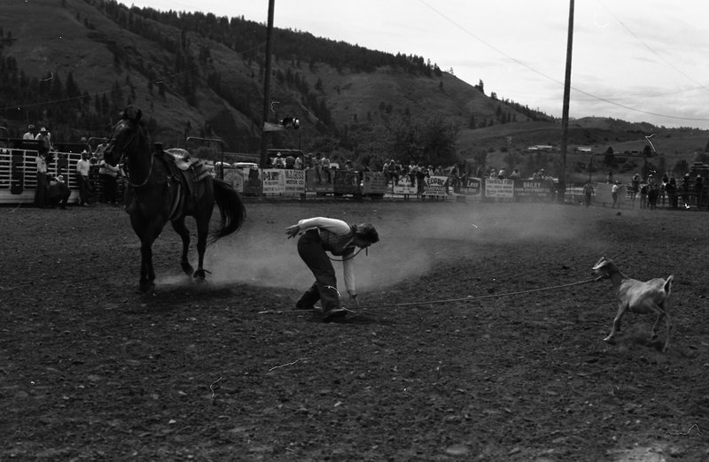 1981 Rodeo, Goat Roping 05