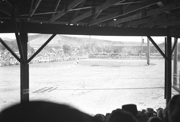 Baker, Mining Jubilee 15