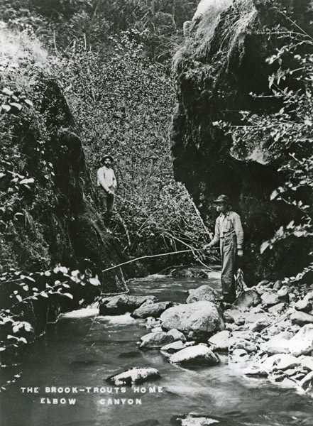 Eden, Fishing