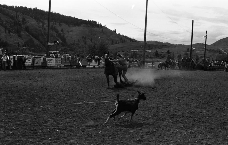 1981 Rodeo, Goat Roping 07