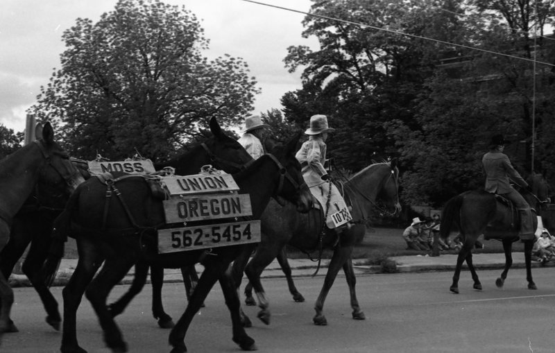 1981 Eastern Oregon Livestock Parade, Horses & Riders 12