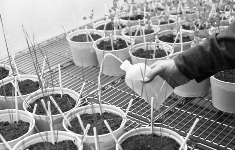 1979 Agriculture, Range Study 09