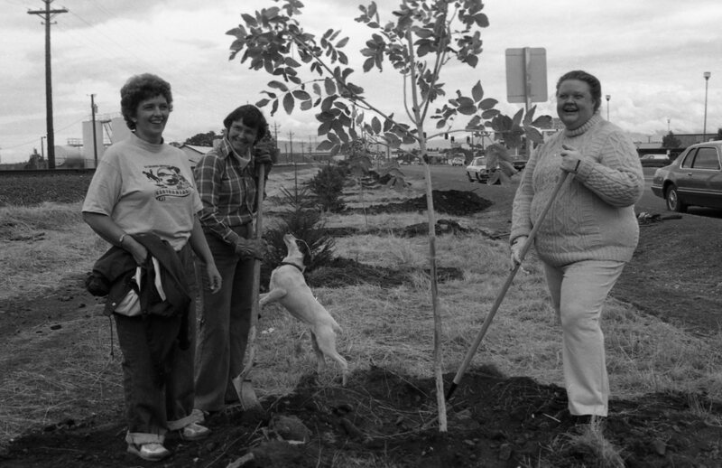 1985 Soroptimist Tree Plantings 07