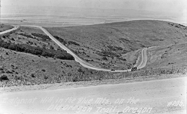 Cabbage Hill 1