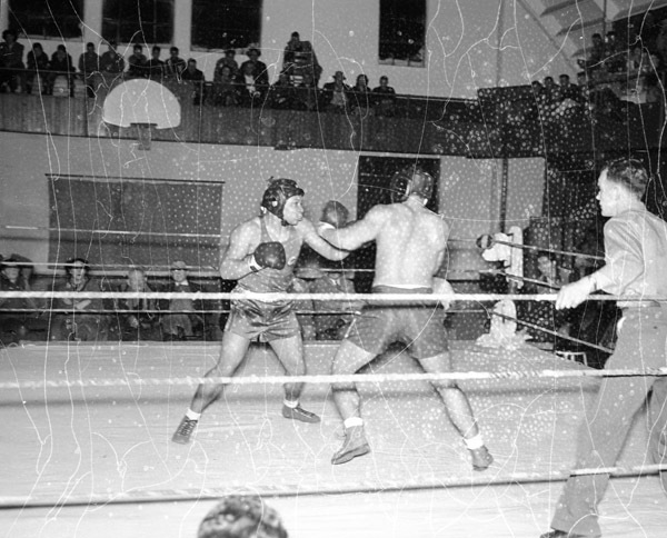 1949-50 Boxing 3-1