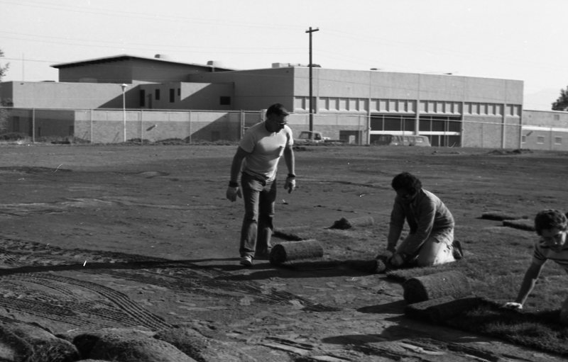 1981 Football Field, New Grass 05