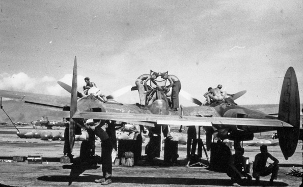 P-38, Inspection