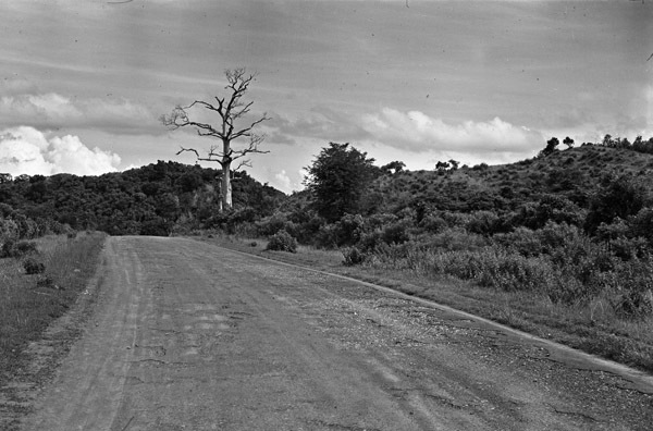Luzon, Road Trip 3