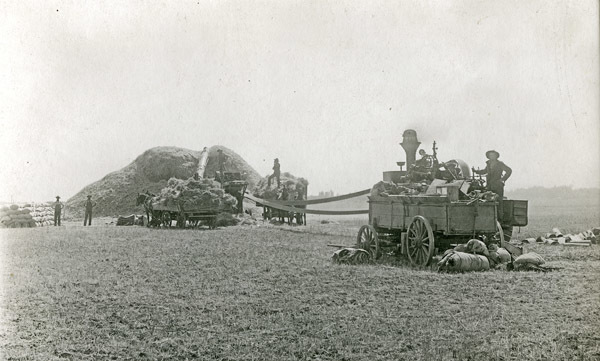 GRV, Threshing Operation 6