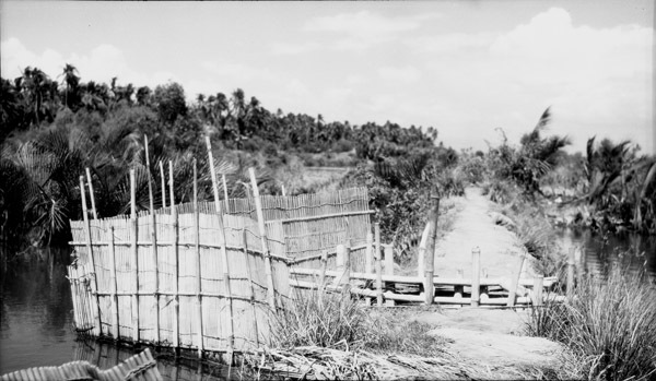 Binmaley, Fish Trap 3
