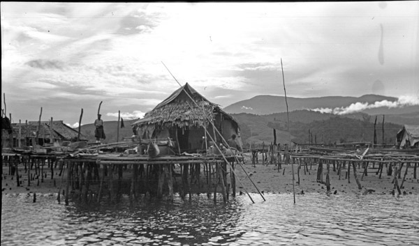 Hollandia Native Homes 3