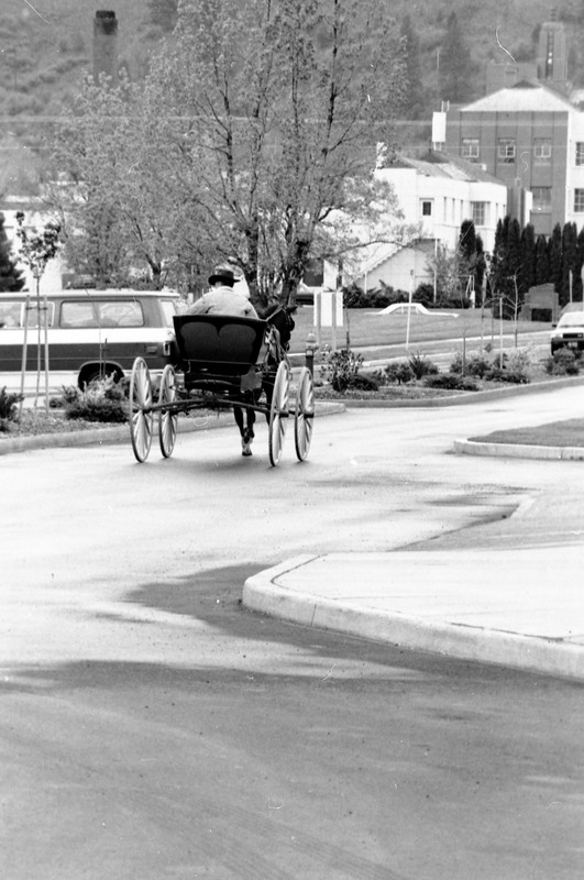 1988 Employee, Jack Johnson Carriage Ride 09