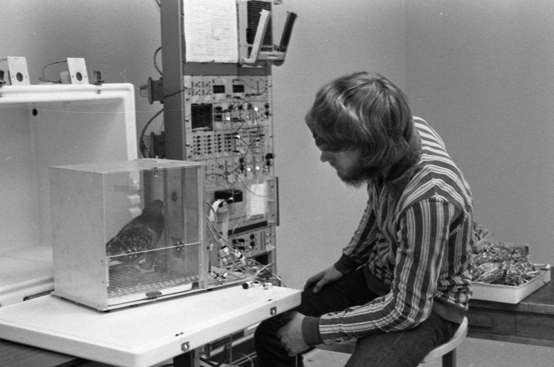 1977 Science, Psych Lab 1